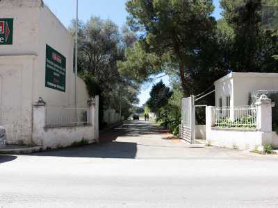 Per visitarla per� � necessario raggiungerla dal fianco sinistro dopo aver percorso un viale sterrato circondato da palme, pini, cipressi e ligustri